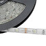 Rgb 5m Flexible Dc12v Strip Light Smd5050 300led - 3