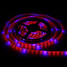 Led Plant Blue Red Dc12v 5m 300led Hydroponic Waterproof - 2