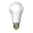 A60 Bulb Warm Led White Light Led Globe 1200lm - 1