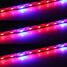 Blue Greenhouse Light Led Tape Lamp Red Hydroponic - 6