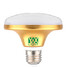 Light E27 220-240v Warm White Ufo 10pcs Lamp - 1