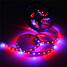 Plants Full Growing 300leds Lighting Led Strip - 4