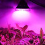 Ac 85-265 V 12w Par30 E26/e27 Led Grow Light High Power Led 1 Pcs Blue Red - 4