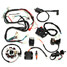 Chinese Dirt Bike ATV Quad Wiring Harness 300cc Complete Electrics - 1