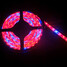 Blue Greenhouse Light Led Tape Lamp Red Hydroponic - 2