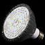 Led Grow Light And Grow Led Hydroponic 100 2pcs Plant Quality - 5