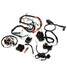 Chinese Dirt Bike ATV Quad Wiring Harness 300cc Complete Electrics - 2