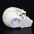 Toys Resin Eye Novelty Glow Skull Night Light - 3