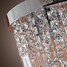 Luxuriant Flush Mount Lamps 100 Crystal - 9