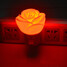 Rose 5pcs Small 1w Night Light 80lm - 4