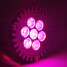 Grow Light E27 Led Spotlight 100 Blue Red Small Flowering - 3