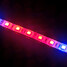 Plants Full Growing 300leds Lighting Led Strip - 5