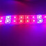 1pcs Greenhouse Grow Led Meter Tape Aquarium Light Red Plant Grow - 3