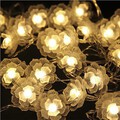 40-led Light String Light 5m Outdoor Christmas Holiday Decoration Led