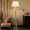 Modern/comtemporary Metal Floor Lamps