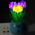 Lamp Color Night Light Led Light Operated Energy-saving