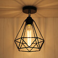 Birdcage Adjustable Flush Mount Wrought Iron 100 Ceiling Lamp Loft