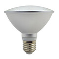 High Chip White Power Led Spotlight 15w Waterproof Par38