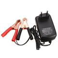 Motorcycle Smart 6V Car Battery Charger Ebike Lead Acid Battery 12V