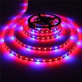 Plants Full Growing 300leds Lighting Led Strip