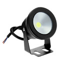 Cool White 100 Flood Light