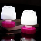 Colour Night Light Lamp Rose