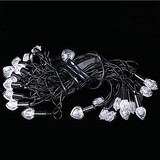 40-led Outdoor Waterproof Plug Star Christmas Holiday Decoration