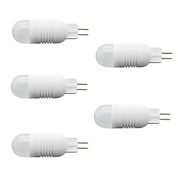 Warm White Cool White Light Bulb 5pcs Dc12v 240v