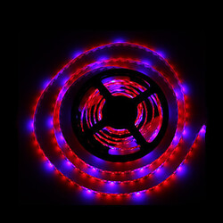 Led Plant Blue Red Dc12v 5m 300led Hydroponic Waterproof