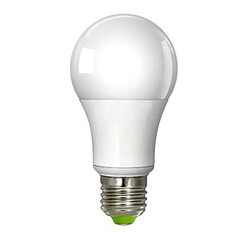 Cob A19 Warm White A60 Cool White E26/e27 Led Globe Bulbs