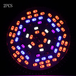 Led Grow Light And Grow Led Hydroponic 100 2pcs Plant Quality